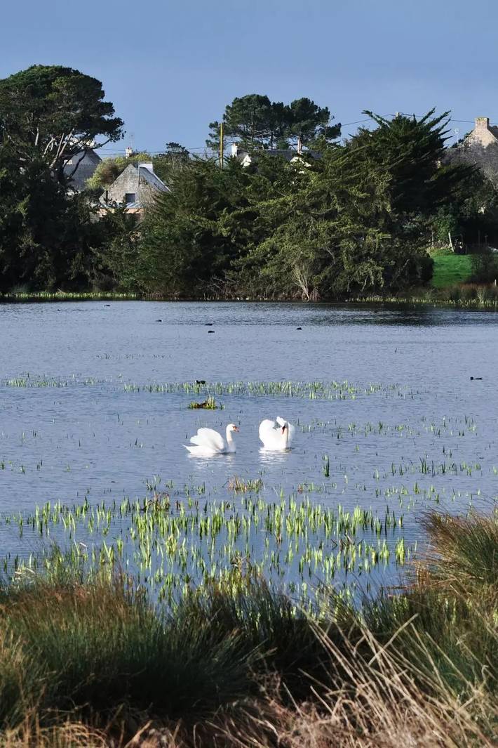 Location de vacances pour 6 personnes, avec jardin dans Kerhillio - 4