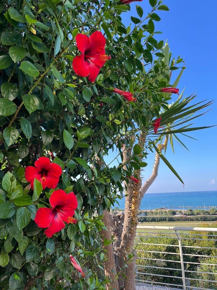 Appartamento 'Casa Rituzza' con vista mare, Wi-Fi e aria condizionata
