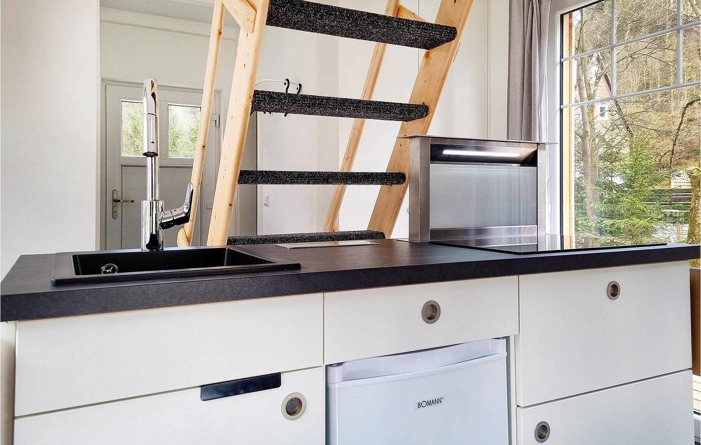 Harz-Tiny Dan291 in Wildemann, Harzvorland