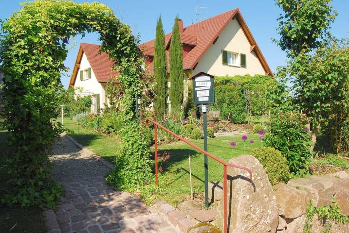 Chambre d’hôte pour 4 personnes, avec jardin ainsi que terrasse et vue à Husseren-les-Châteaux