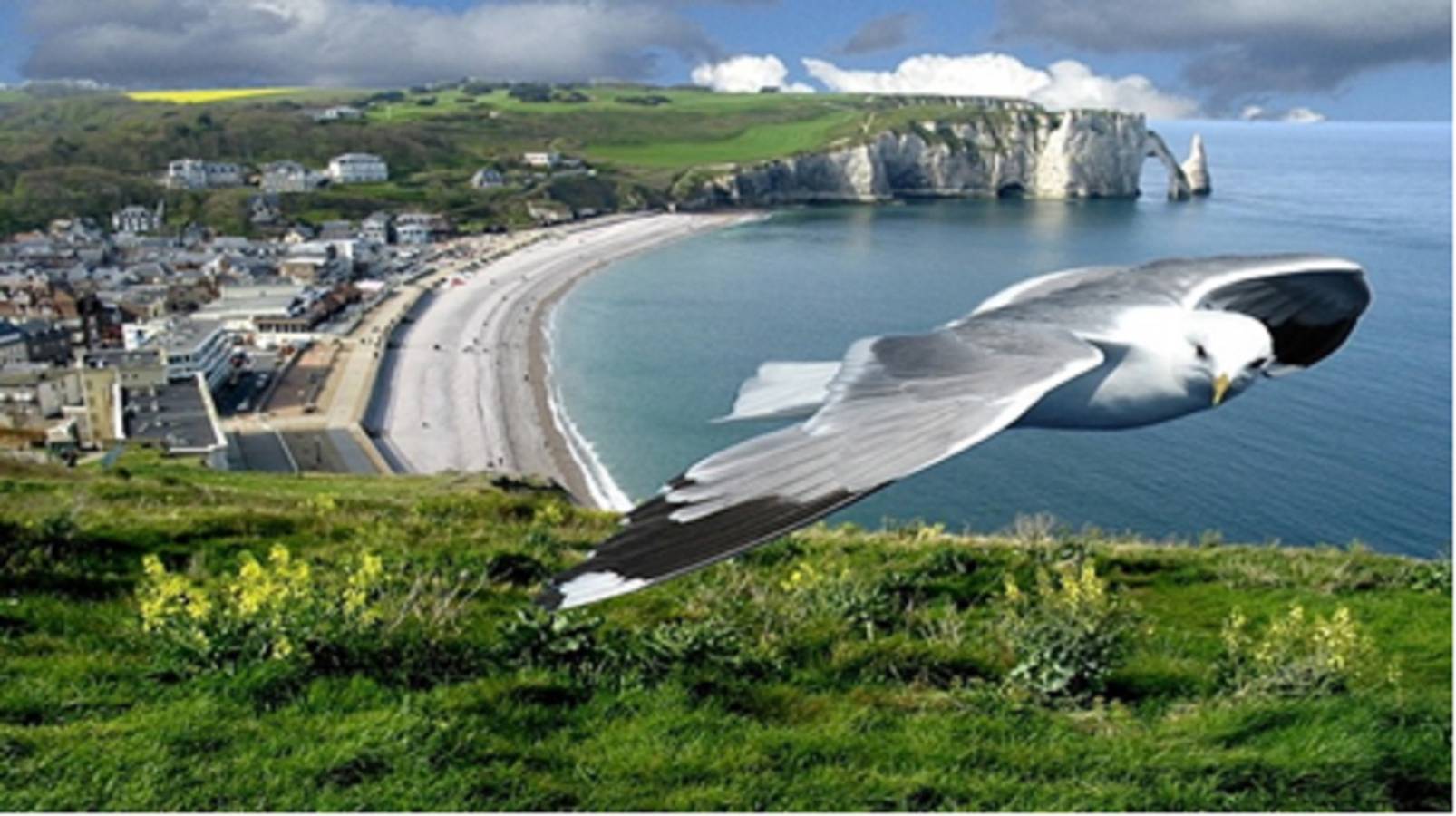 Etretat sight Beach cliffs Golf - 332m2 13pers, 232m2 8pers, 107m2 5pers - 4str in Étretat, Région du Havre
