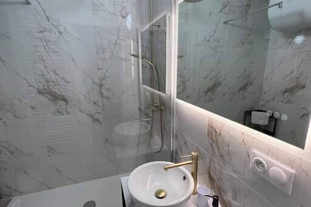 Entire apartment, Esprit Panthère, 42m2 de Charme in Mulhouse, Mulhouse region