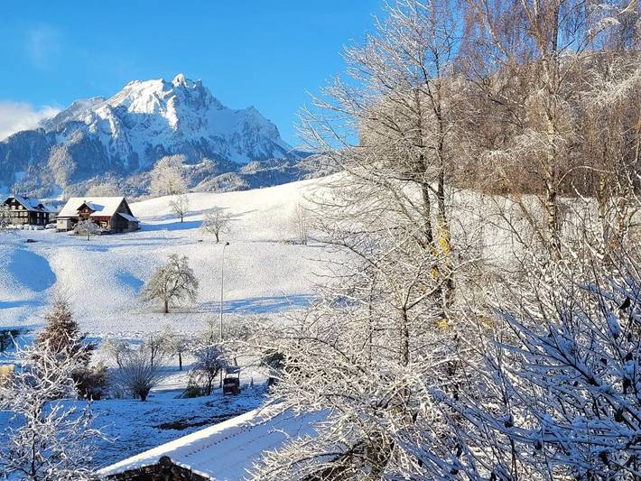 Gîte pour 2 personnes, avec vue et jardin à Horw - 3