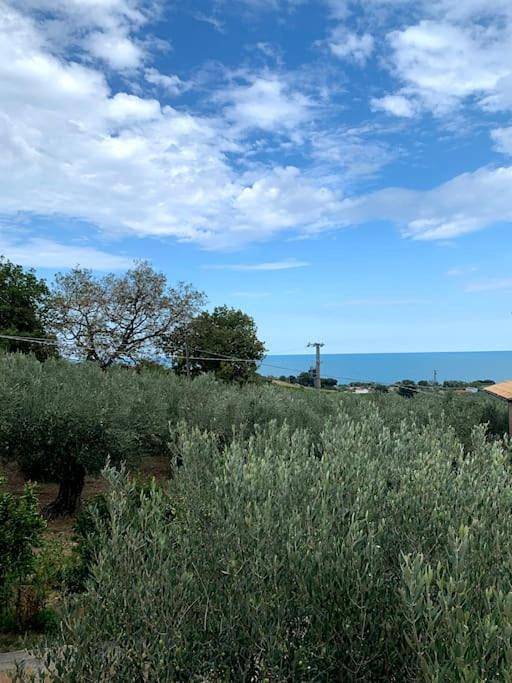Casa vacanza per 4 persone, con giardino e terrazza nonché panorama, con animali domestici in Fossacesia
