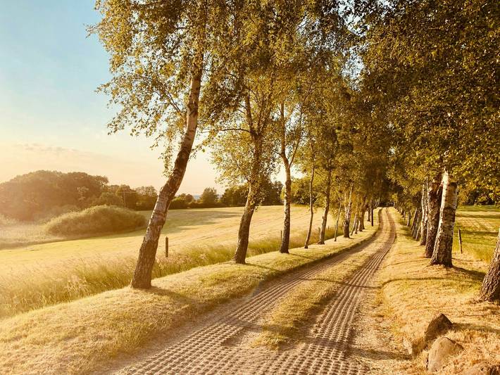 Ferienwohnung für 2 Personen, mit Sauna und Terrasse, kinderfreundlich in Habernis - 2