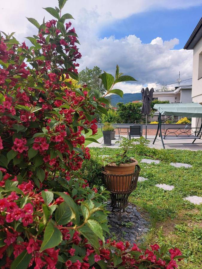 Gîte pour 2 personnes, avec vue ainsi que jardin et sauna à Guebwiller - 3