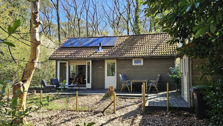 Appartement voor 5 personen, with Terras and Tuin as well as Sauna in Hardenberg