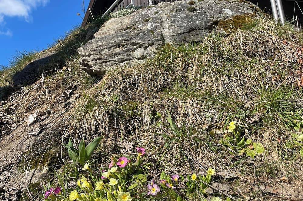 Willkommen mitten in der Aletsch-Arena! in Naters, Brig