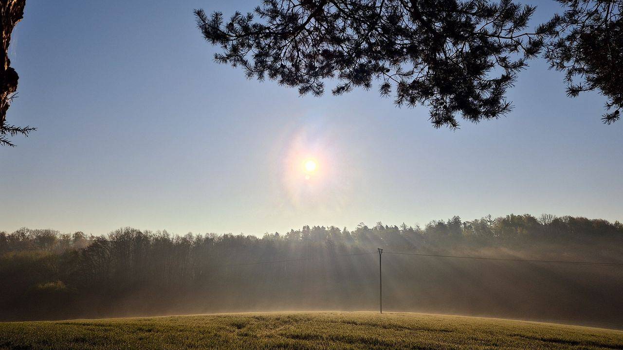 Ganze Ferienwohnung, Ferienapartment Haus am Grün 3 "Sunset" - Ruhe & Entspannung mitten in der Natur in Herzberg am Harz, Harzvorland