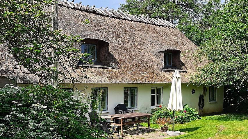 Ferienhaus für 6 Personen, mit Terrasse und Garten in Nørre Kettingskov