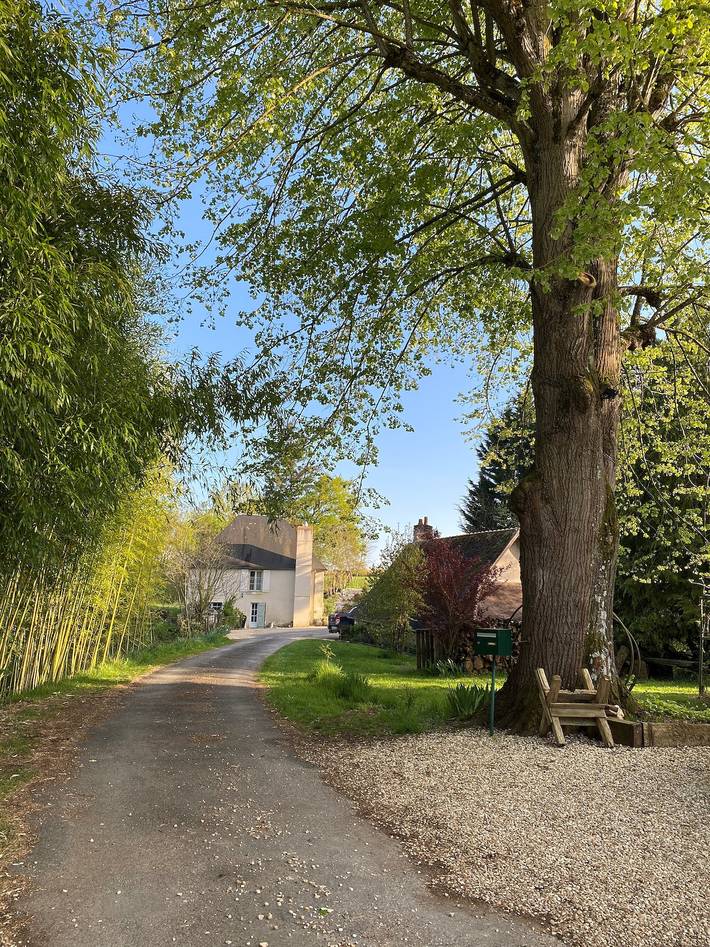 Gîte pour 11 personnes, avec jardin et terrasse à Châteauvieux - 2
