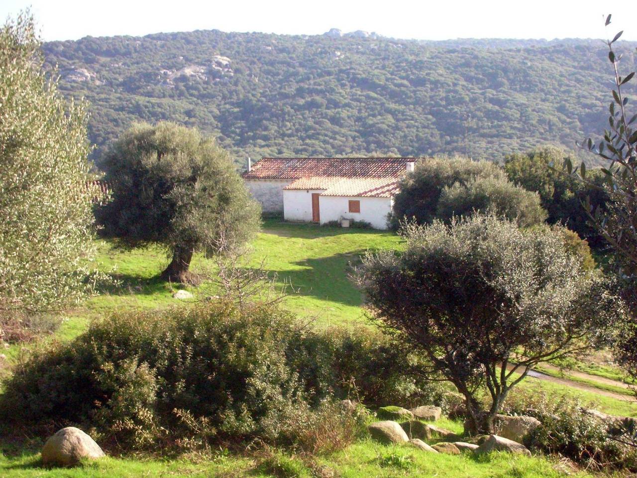 Stazzo mit Garten in Luogosanto in Luogosanto, Gallura
