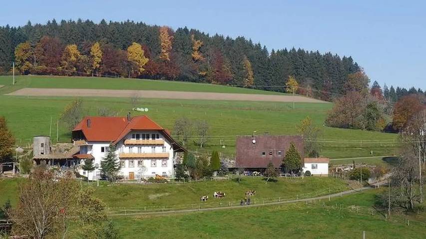 Ferienwohnung für 7 Personen, mit Balkon und Terrasse im Südschwarzwald