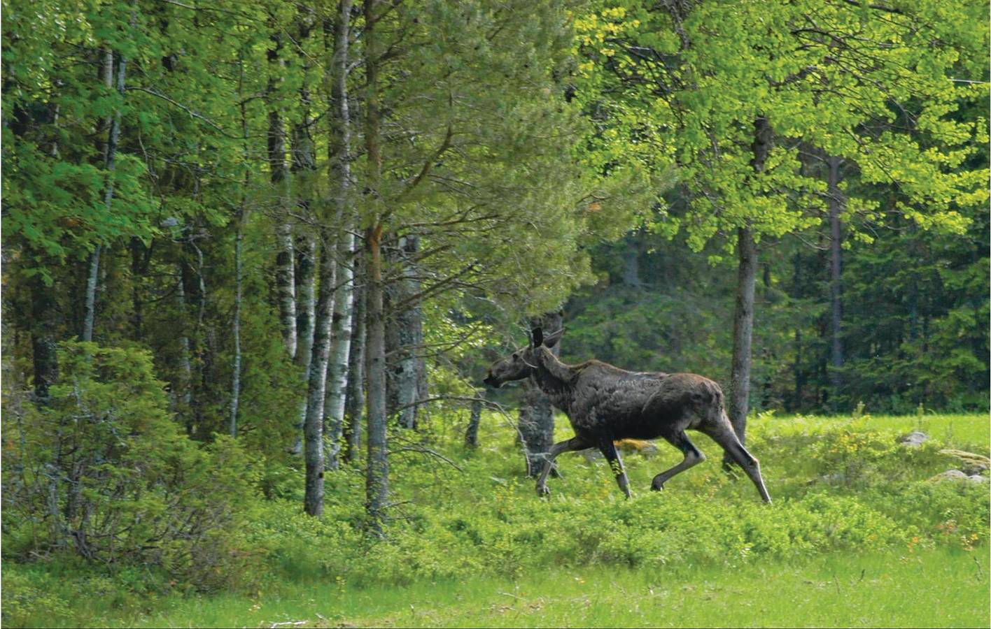 Hus för 6 Personer med terass in Essunga, Västergötland