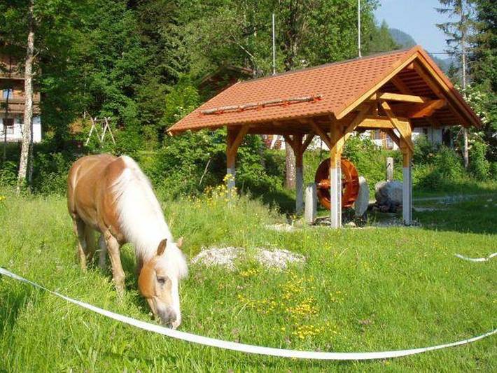 Ganze Ferienwohnung, 6-Personenwohnung - B in Loferer und Leoganger Steinberge, Sankt Ulrich am Pillersee