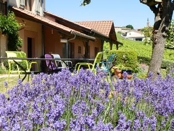 Gîte pour 8 Personnes dans Pruzilly, Région de Mâcon, Photo 3