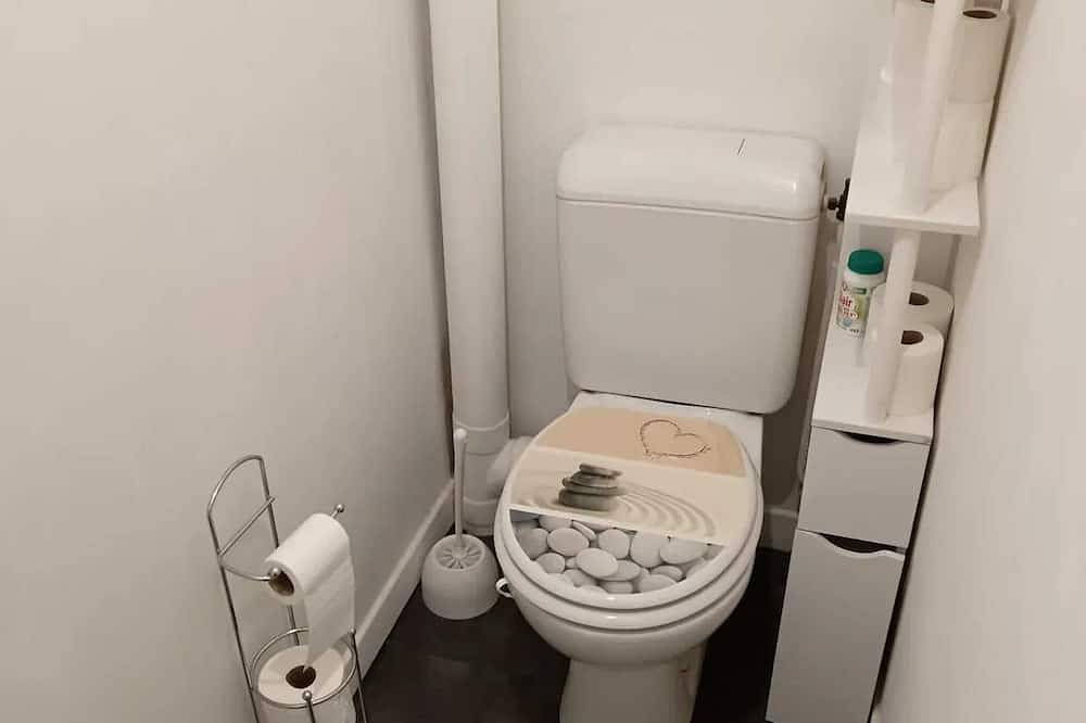 Appartement entier, Homerez - Studio à Clermont-Ferrand in Clermont-Ferrand, Parc naturel régional des Volcans d'Auvergne