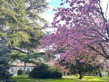 Villa per 10 Persone in Padova, Provincia di Padova, Foto 3