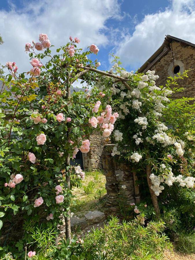 Chambre d’hôte pour 3 personnes, avec vue et jardin dans Région de Segré - 4