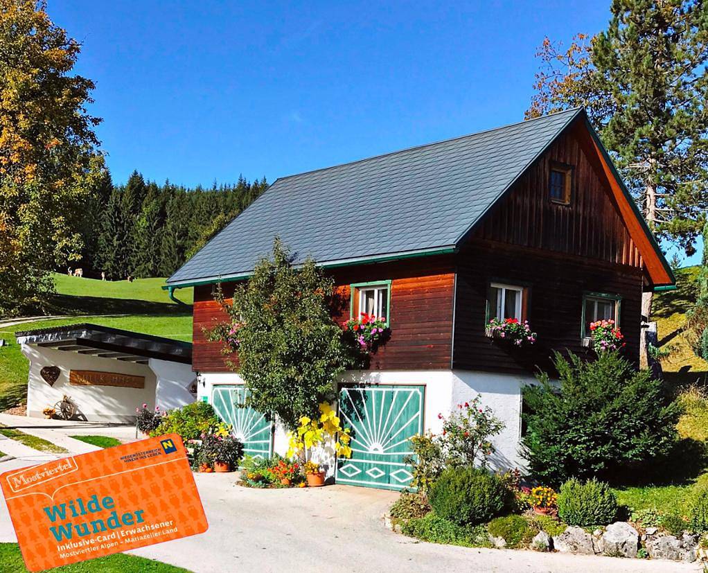 Geheel vakantieappartement, Ferienhaus Zwickelreith - Ferienwohnung Zwickelreith in Göstling an der Ybbs, Mostviertel Region