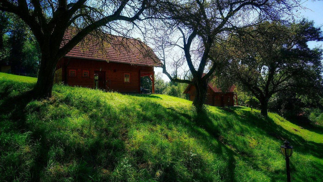 Ferienhaus für 6 Personen (80 m²) in Sankt Lorenzen am Wechsel in Sankt Lorenzen am Wechsel, Steirerland