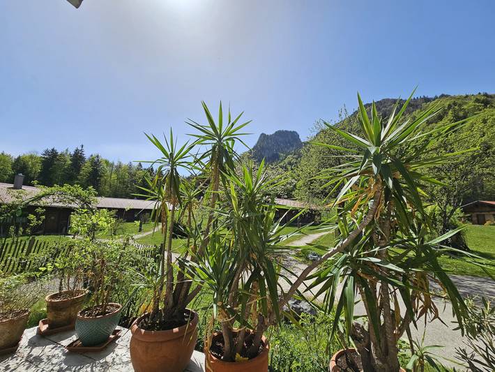 Hütte für 2 Personen, mit Terrasse und Garten in Ruhpolding
