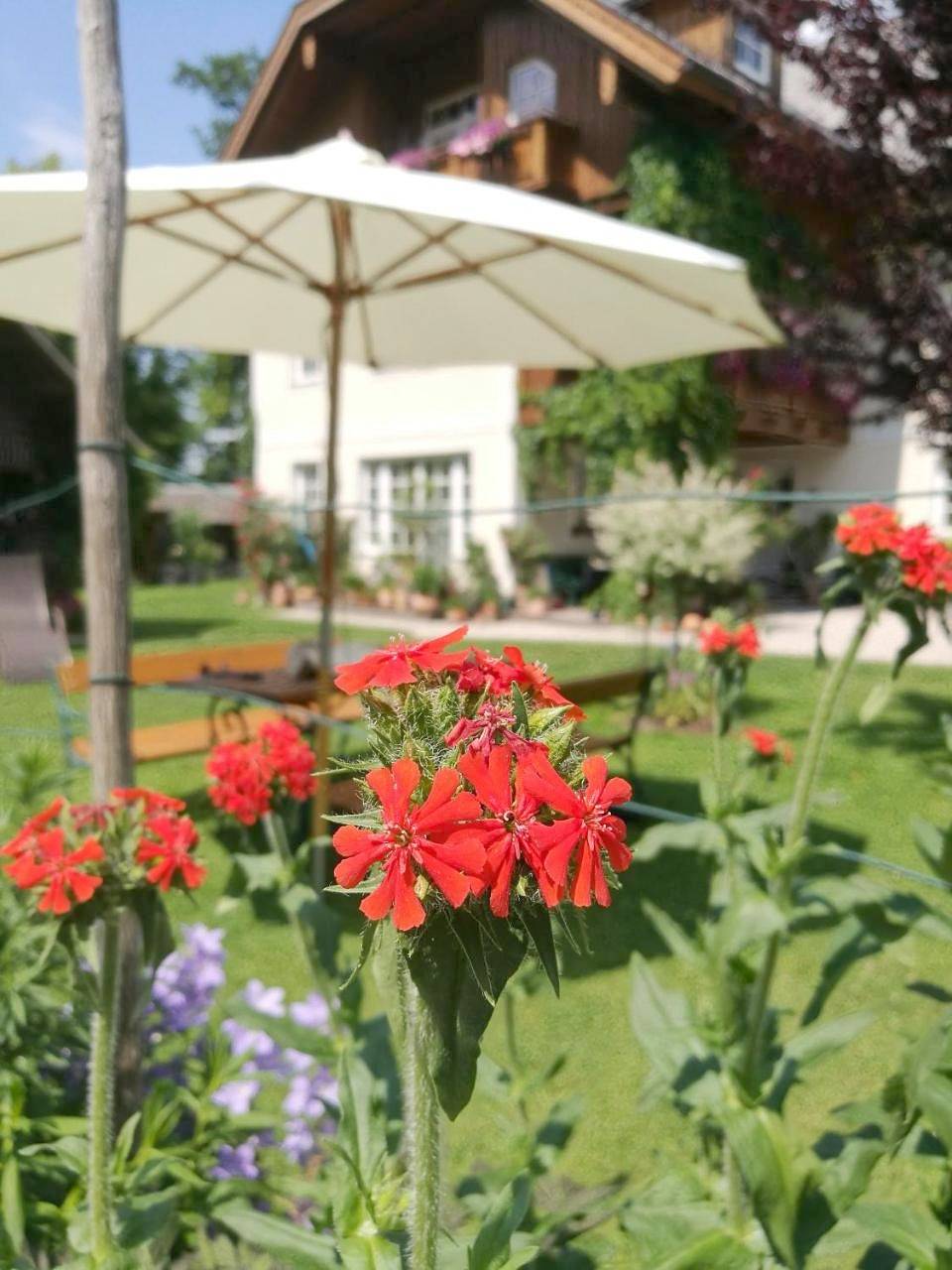 Landhaus Leitner am Wolfgangsee in Sankt Gilgen, Bezirk Salzburg-Umgebung