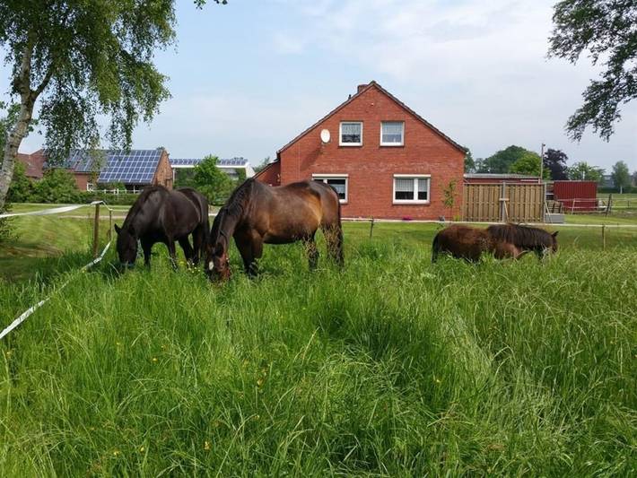 Ferienwohnung für 2 Personen, mit Garten und Terrasse, kinderfreundlich in Südbrookmerland - 3