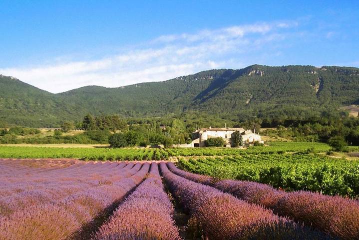 Location de vacances pour 8 personnes, avec Terrasse ainsi que Jardin et Vue à Roche-Saint-Secret-Béconne