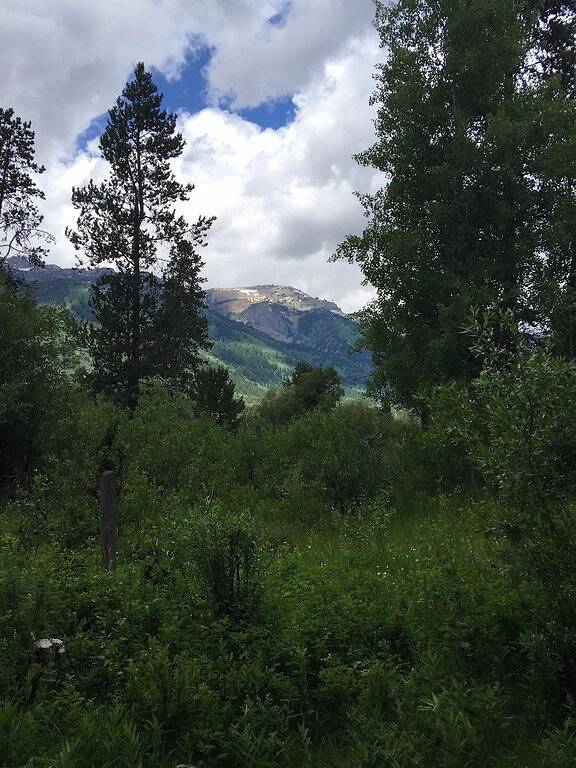 Ganze Wohnung, Abgeschieden Jackson Hole Escape mit direktem Blick auf die Teton Mountains in Moose Wilson Road, Grand Teton Nationalpark