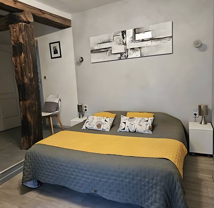 Chambre d’hôte pour 5 personnes, avec jardin à Vienne (France)