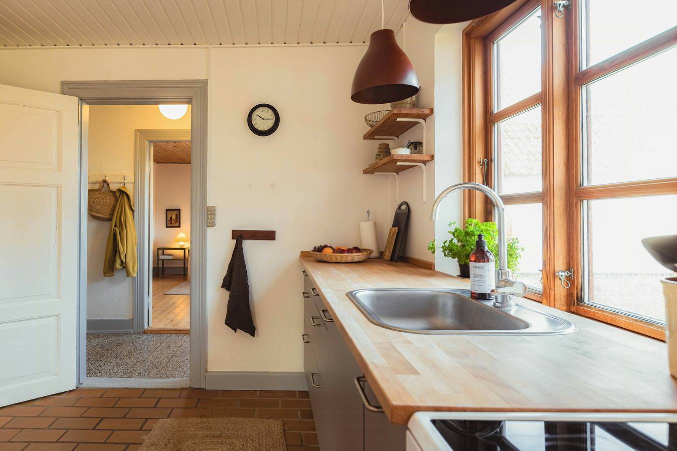 Kvæg og heste på Lundstedet ved Skovsgaard in Rudkøbing, Langeland