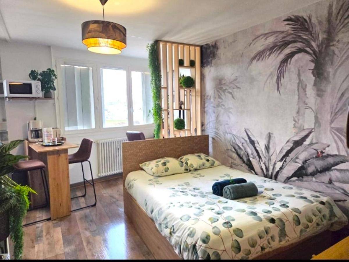 Appartement entier, Studio le Cosy Jungle in Chartres, Région de Chartres