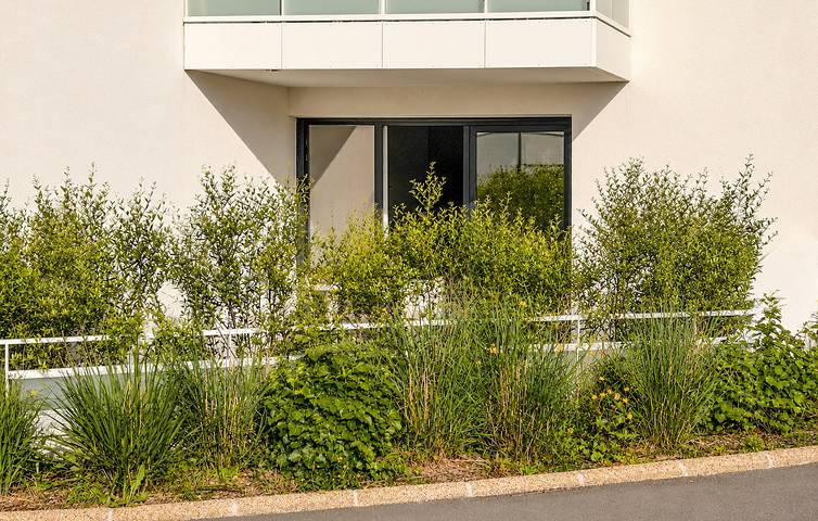 Gîte pour 3 personnes, avec terrasse à Muzillac