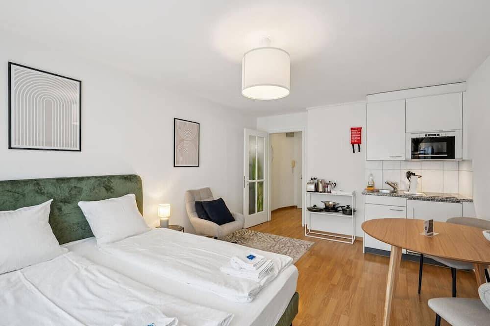 Appartamento intero, City studio in Zurigo, Distretto di Zurigo