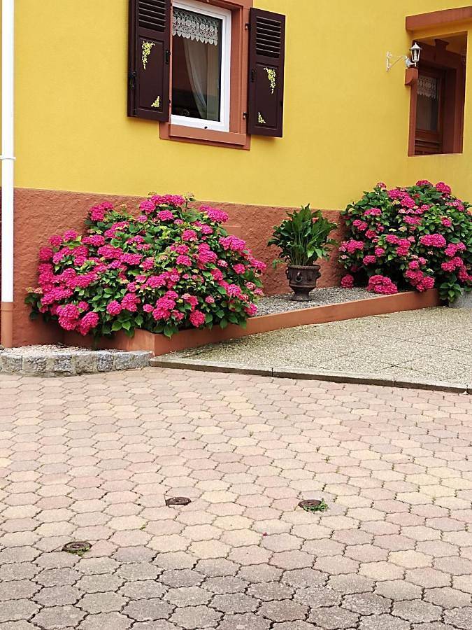 Location de vacances pour 12 personnes, avec terrasse et vue à Sondernach