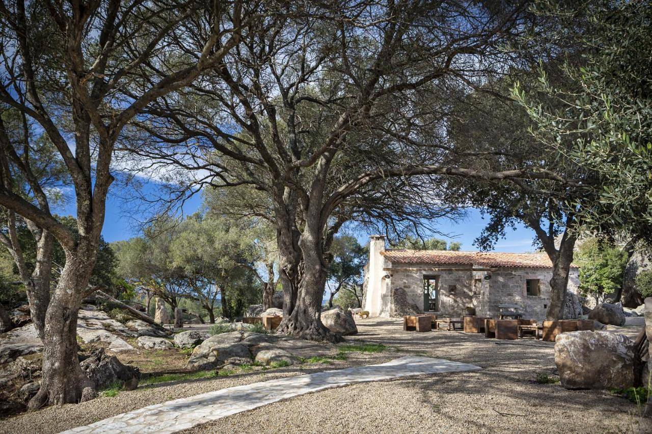 Standard Double Room in Luogosanto, Gallura