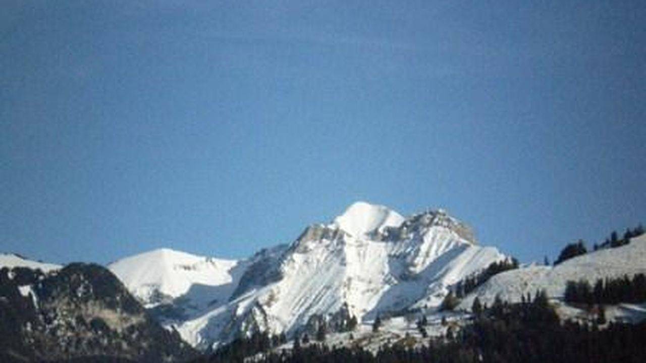 Ganze Ferienwohnung, Ferienwohnung für 2 Personen (20 m²) in Frutigen in Frutigen, Frutigen - Lenk - Adelboden
