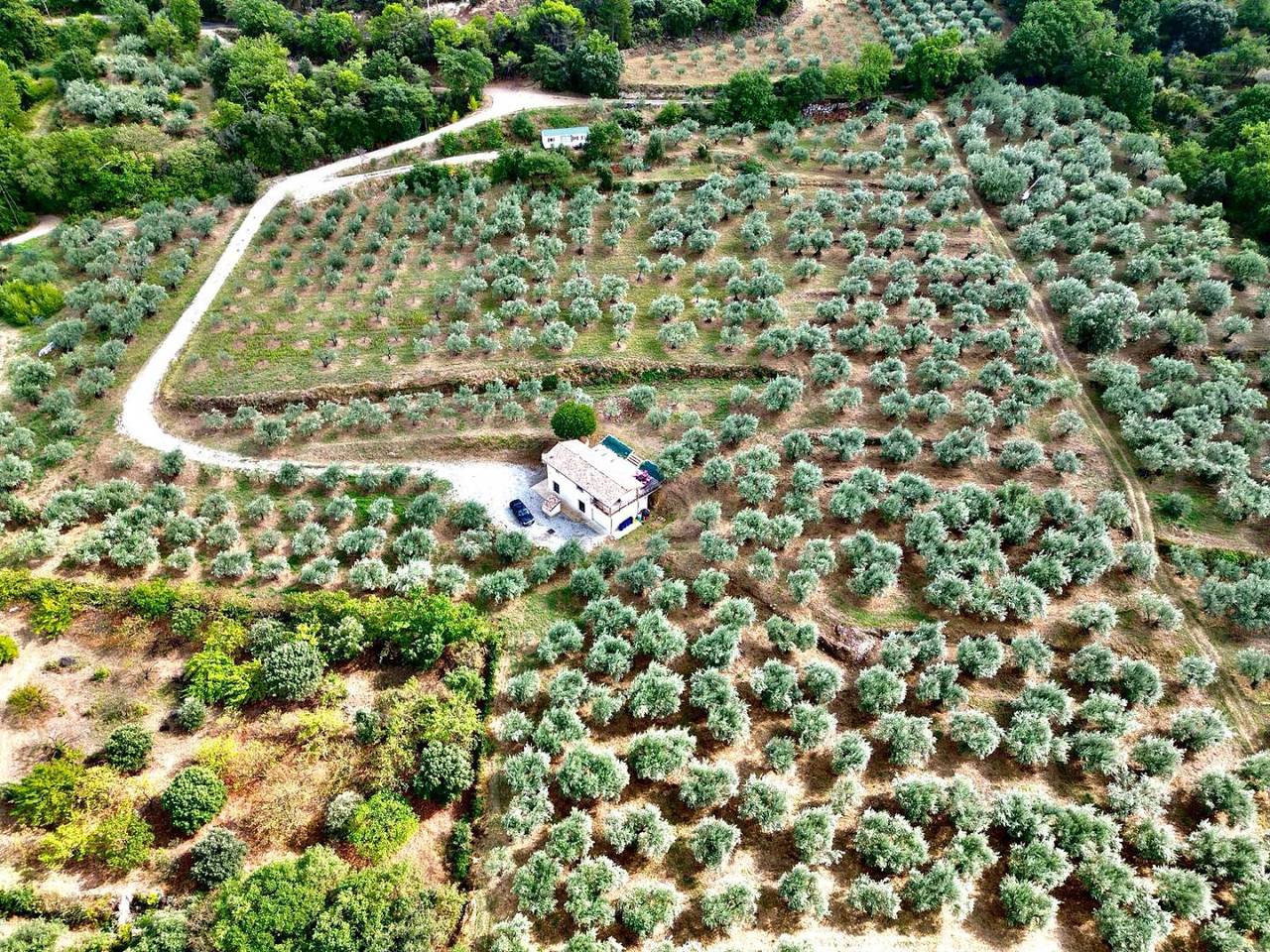 Gîte Nyons au coeur de 2 hectares d'oliviers in Nyons, Région de nyons
