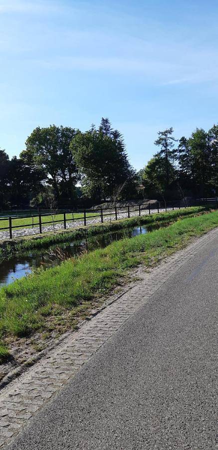 Ferienhaus für 5 Personen, mit Whirlpool und Terrasse sowie Garten und Sauna in Ommen - 2