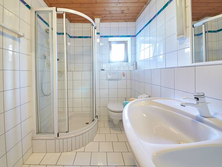 Chalet Felix in Saalbach, Saalbach-Hinterglemm