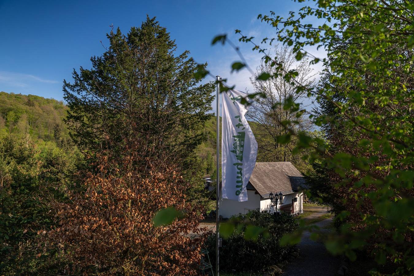 Ferienhaus 'Jachthuus' inmitten der Natur, Vollausstattung, exklusiv, großer Garten, Sauna  in Brilon, die Mittelgebirge
