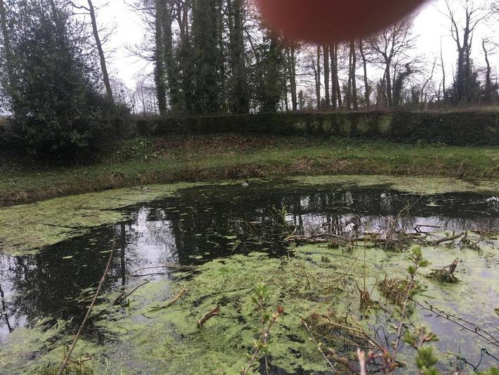 Location de vacances pour 4 personnes, avec jardin, animaux acceptés à Saint-Arnoult (Seine-Maritime) - 3