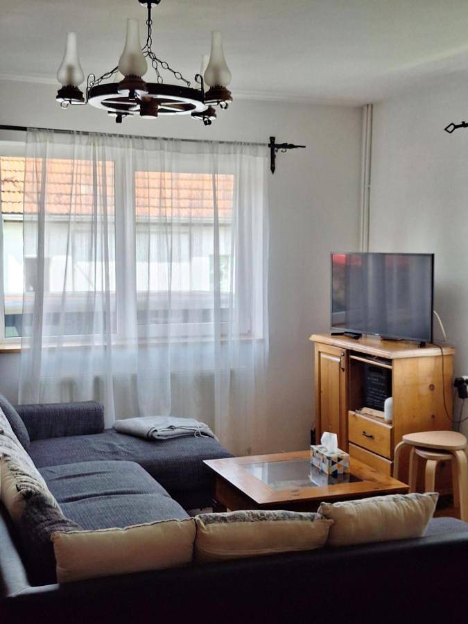 Maison d’hôte pour 4 personnes, avec jardin et vue dans Porumbacu de Sus - 4