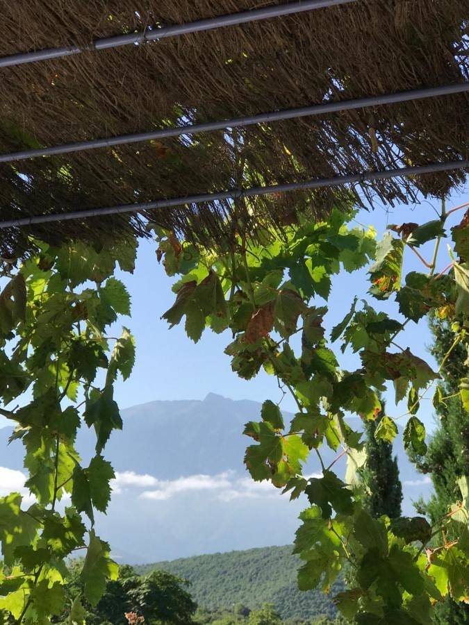 Gîte pour 2 personnes, avec jardin et vue à Molitg-les-Bains - 4