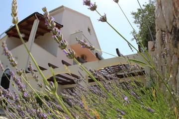 Studio dla 2 osoby w Jelsa, Żupania splicko-dalmatyńska, Zdjęcie 1