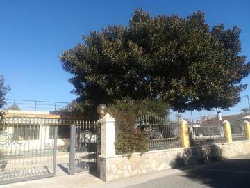 Gîte pour 4 personnes, avec jardin et vue à Elche