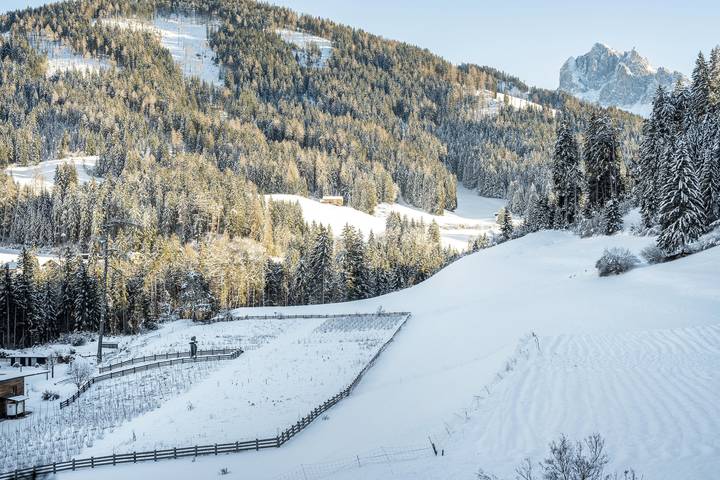 Ferienwohnung für 4 Personen, mit Balkon und Garten am Pragser Wildsee - 3