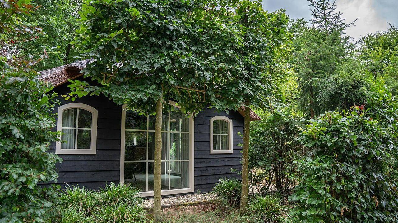 Vakantiehuis voor 6 personen met tuin in Ermelo, Veluwe