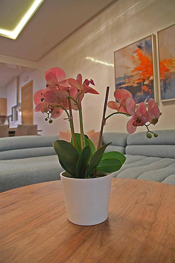 Gîte pour 6 personnes, avec piscine et jardin ainsi que bassin pour enfant et vue à M'diq - 3